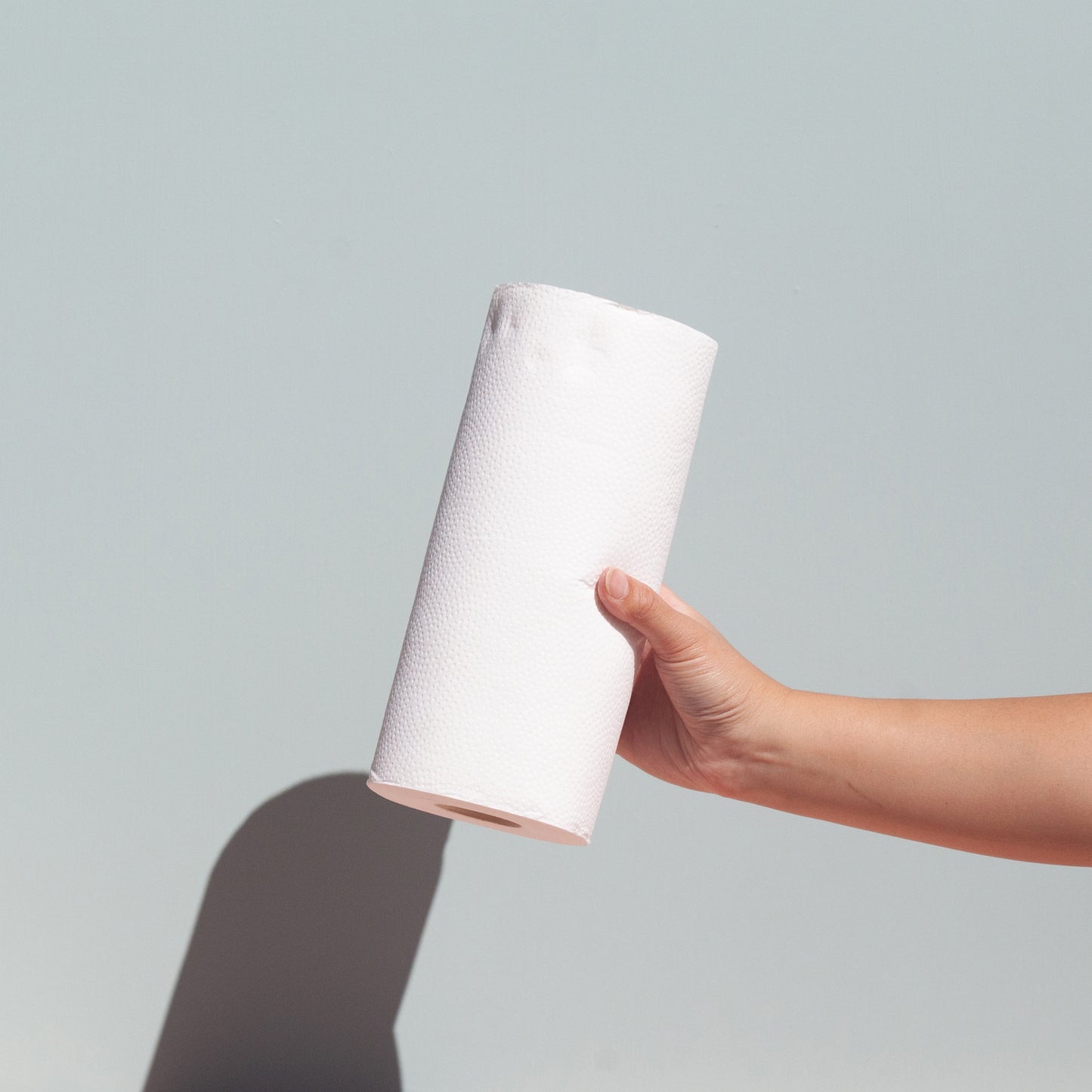 Tree Free Paper Towels