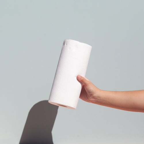 Paper Towels
